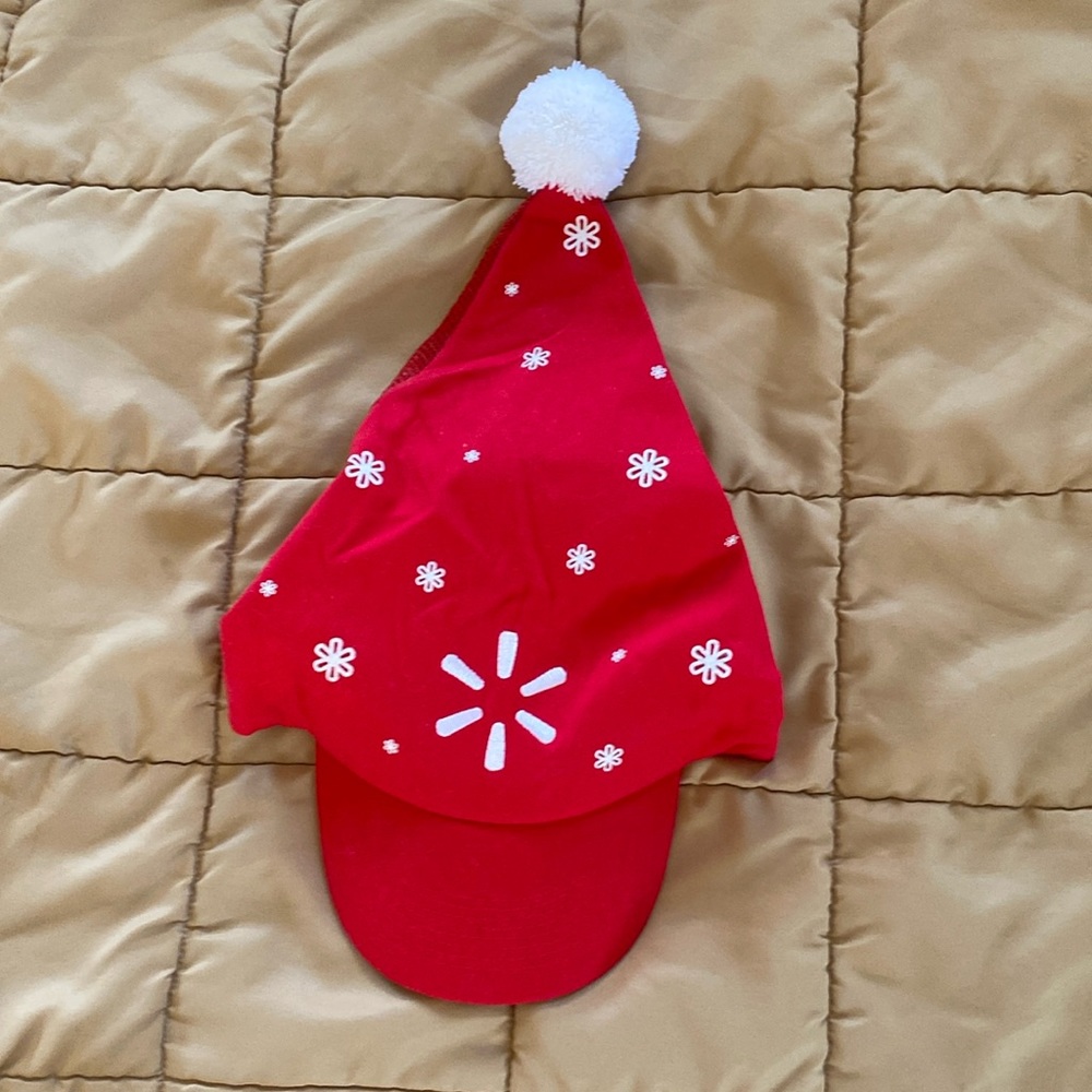 Christmas Hat